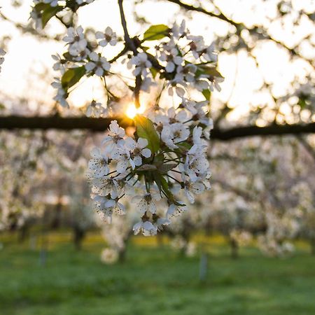 Paradieshof Lautenbach ภายนอก รูปภาพ