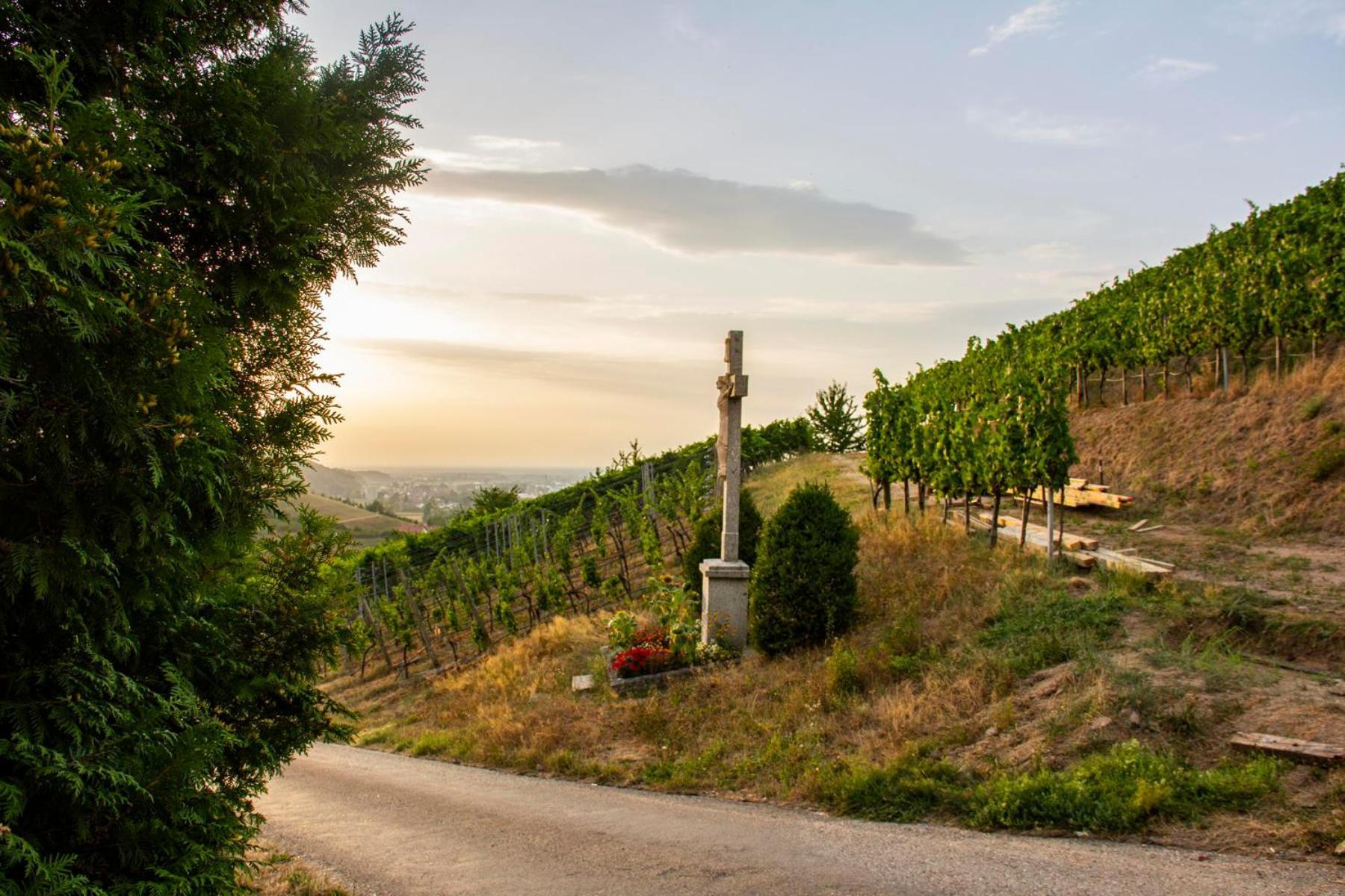 Paradieshof Lautenbach ภายนอก รูปภาพ