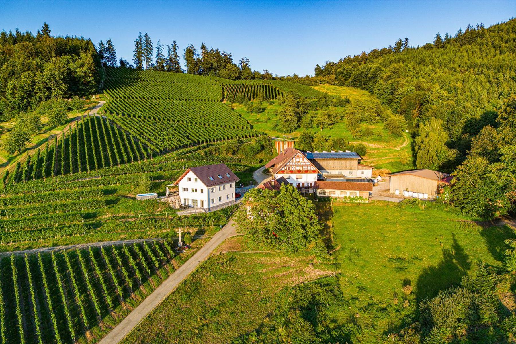 Paradieshof Lautenbach ภายนอก รูปภาพ